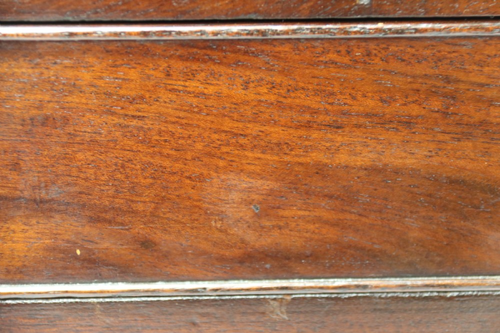 A dark mahogany George III Canterbury featuring slatted vertical partitions, a lower single drawer with brass ring handles, and turned legs resting on brass castors. View X