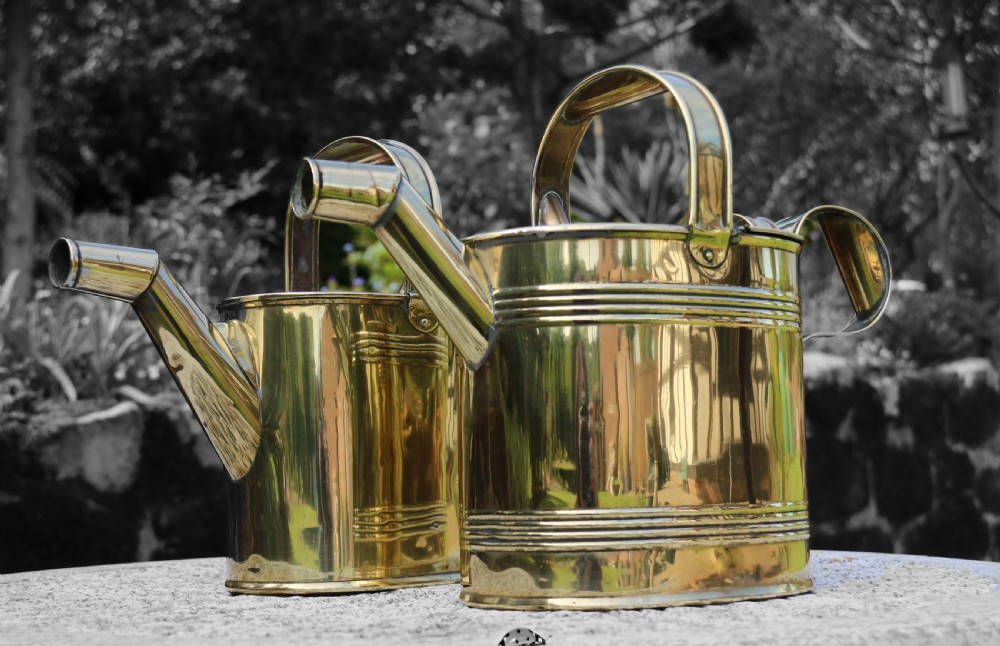 A pair of polished 19th-century brass watering cans in differing sizes featuring reeded cylindrical bodies, arched top handles, and angled spouts. View VII