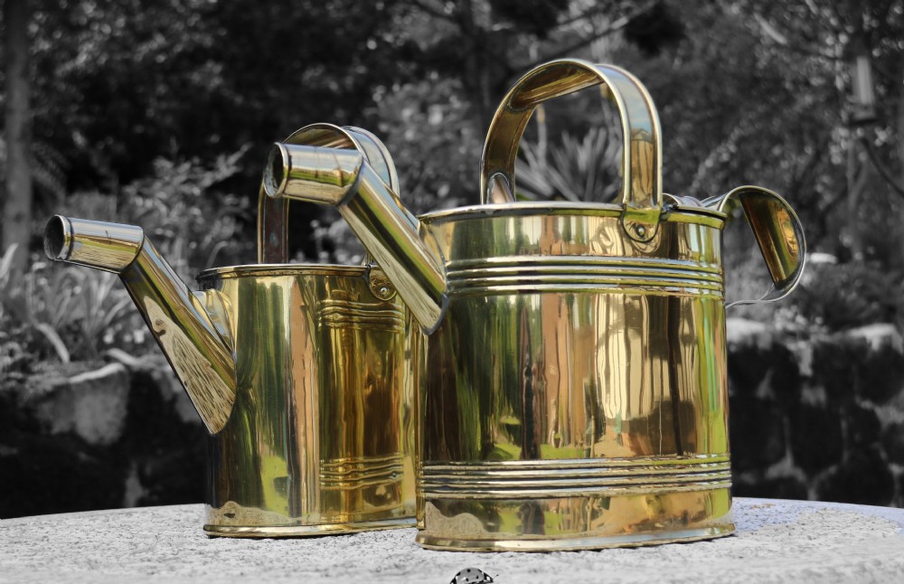A pair of polished 19th-century brass watering cans in differing sizes featuring reeded cylindrical bodies, arched top handles, and angled spouts.