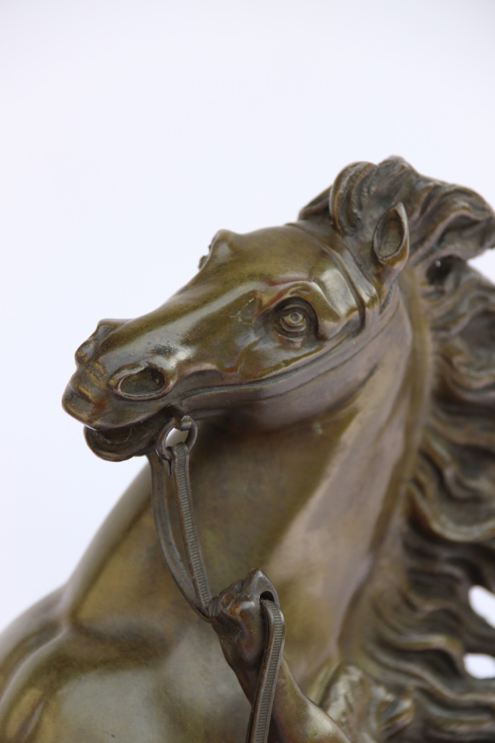 A large pair of 19th century French bronze Marly Horses after Coustou. View XVIII