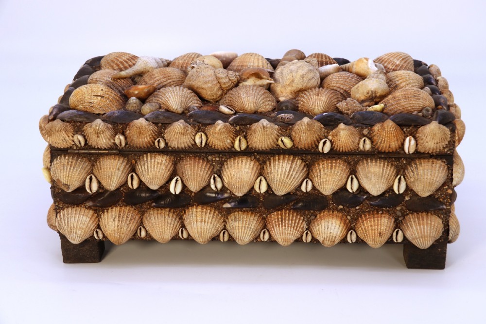 A rectangular folk art box raised on four small feet, fully encrusted with an intricate mosaic of natural sea shells including cockles, cowries, and mussels. View II