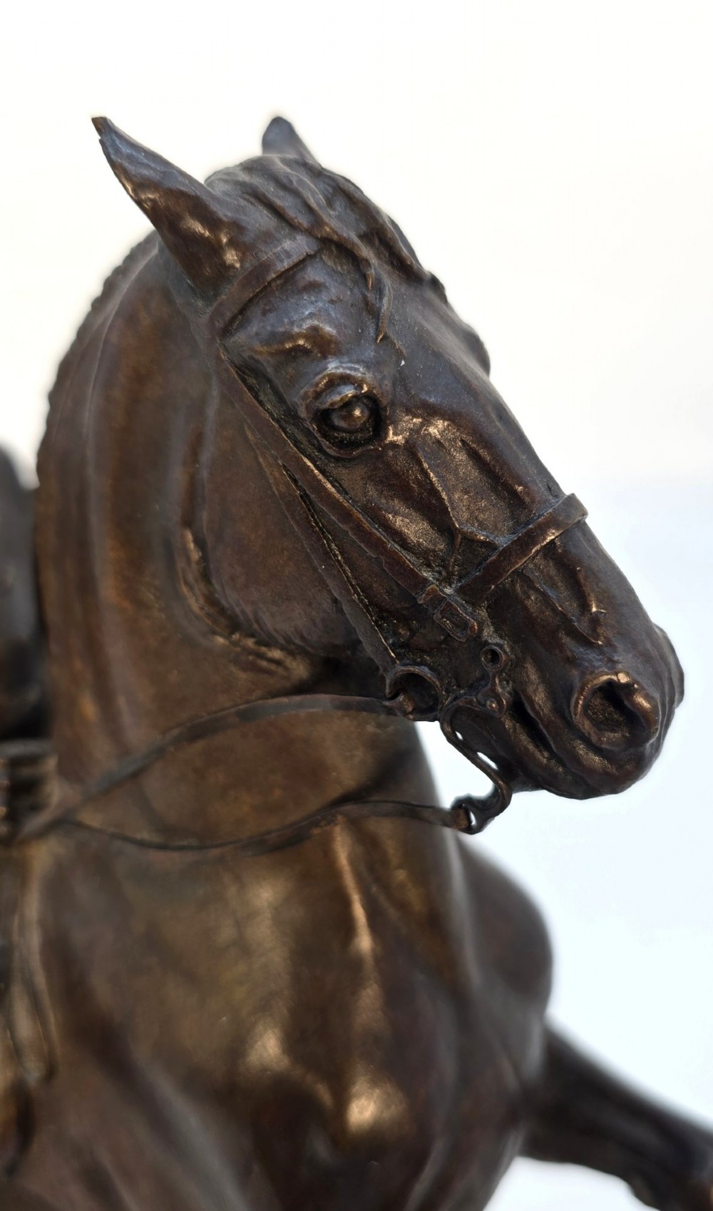 A dark bronze equestrian sculpture depicting a uniformed rider atop a rearing horse, mounted on a rectangular cream marble plinth. View XII
