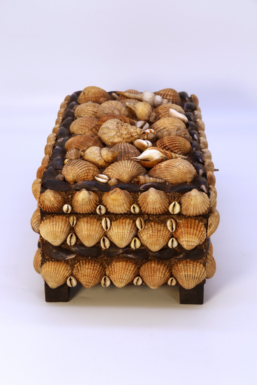 A rectangular wooden box encrusted entirely with an assortment of natural seashells, supported by four short block feet. View V