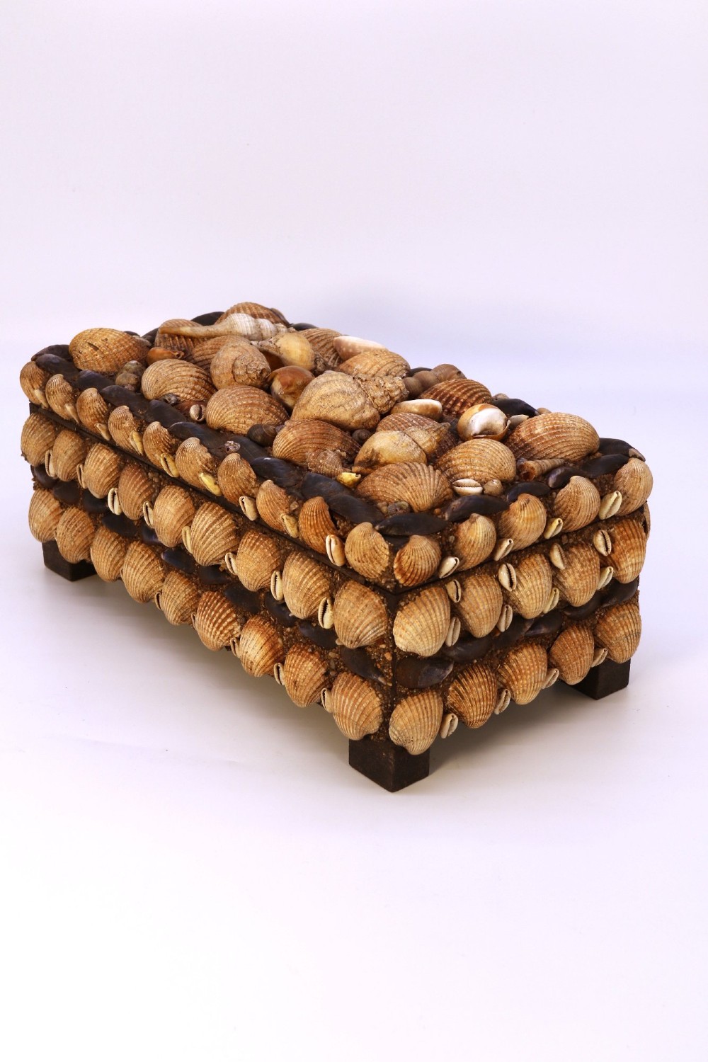 A rectangular wooden box encrusted entirely with an assortment of natural seashells, supported by four short block feet. View VI