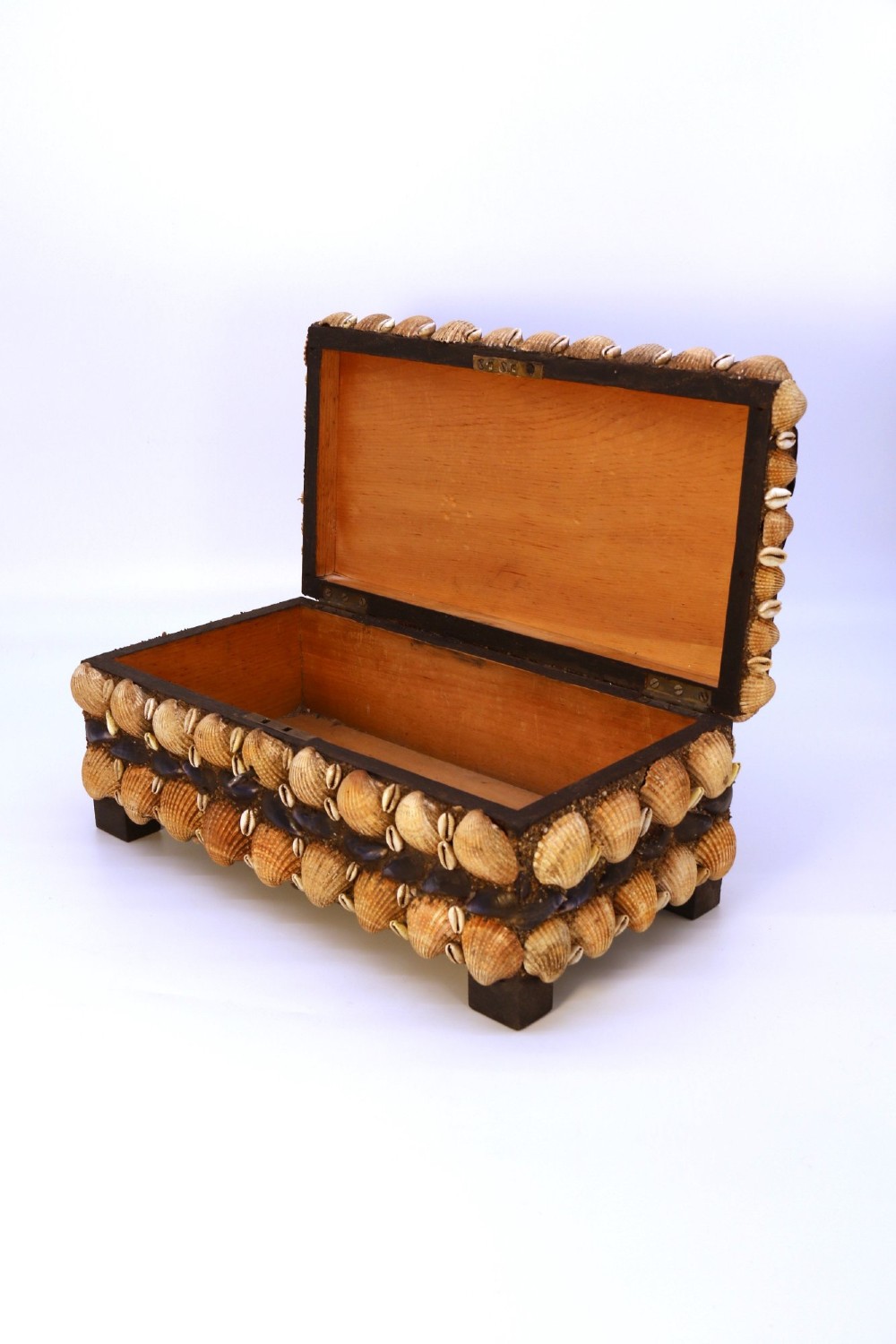 A rectangular wooden box encrusted entirely with an assortment of natural seashells, supported by four short block feet. View X