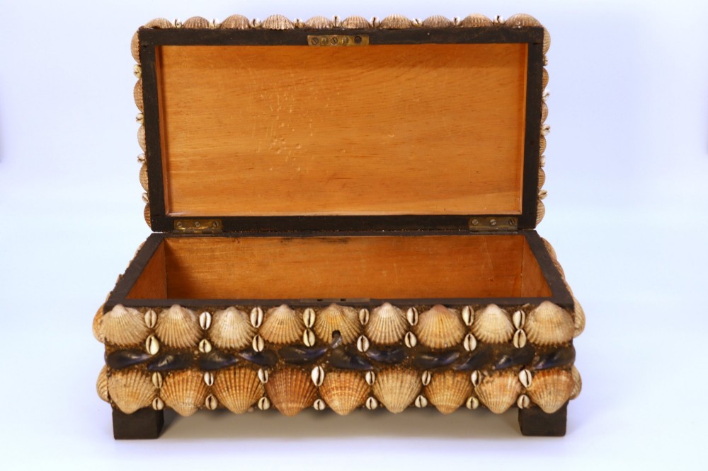 A rectangular wooden box encrusted entirely with an assortment of natural seashells, supported by four short block feet. View XI