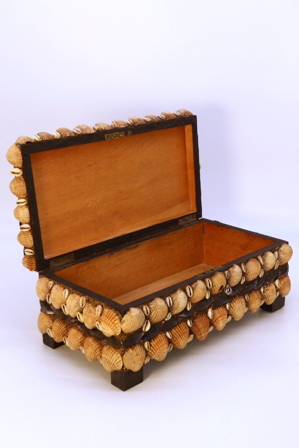 A rectangular wooden box encrusted entirely with an assortment of natural seashells, supported by four short block feet. View XII