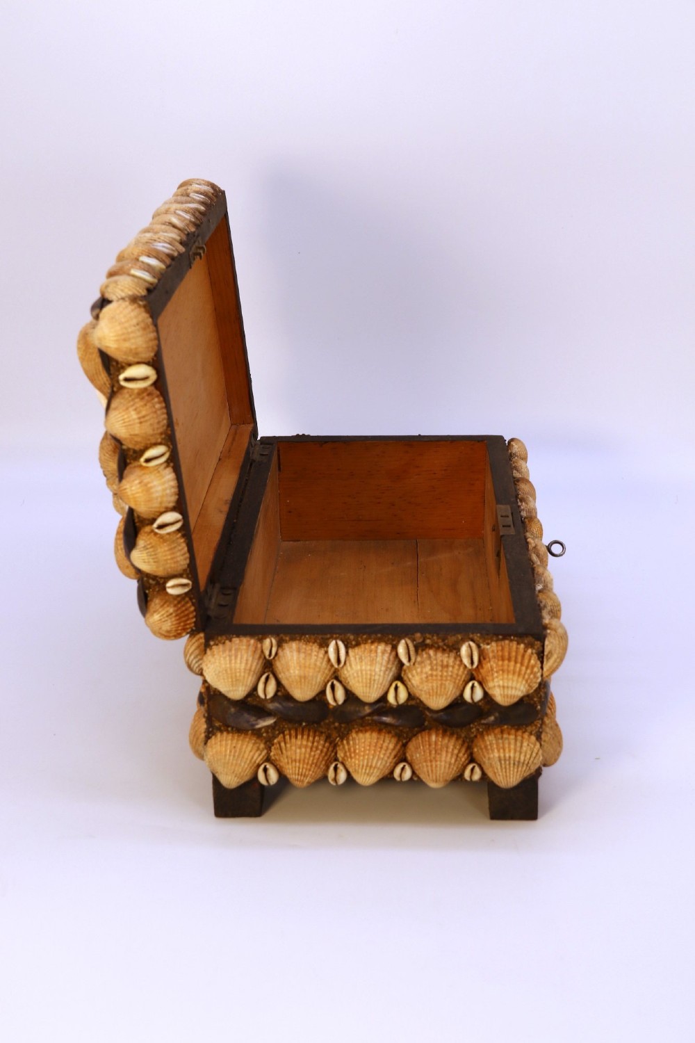 A rectangular wooden box encrusted entirely with an assortment of natural seashells, supported by four short block feet. View XIII
