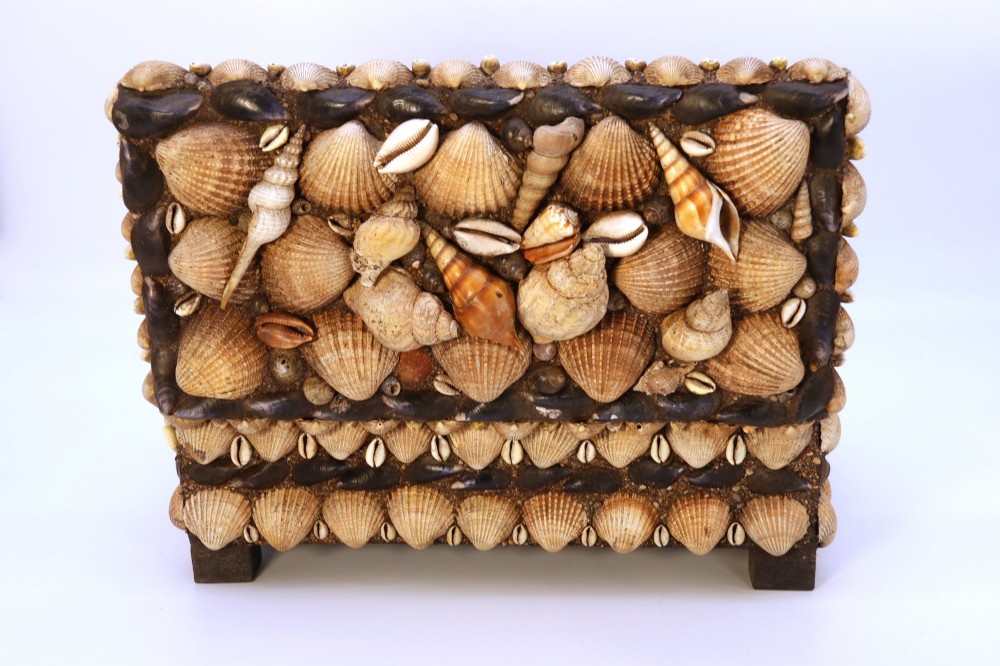 A rectangular wooden box encrusted entirely with an assortment of natural seashells, supported by four short block feet. View XV