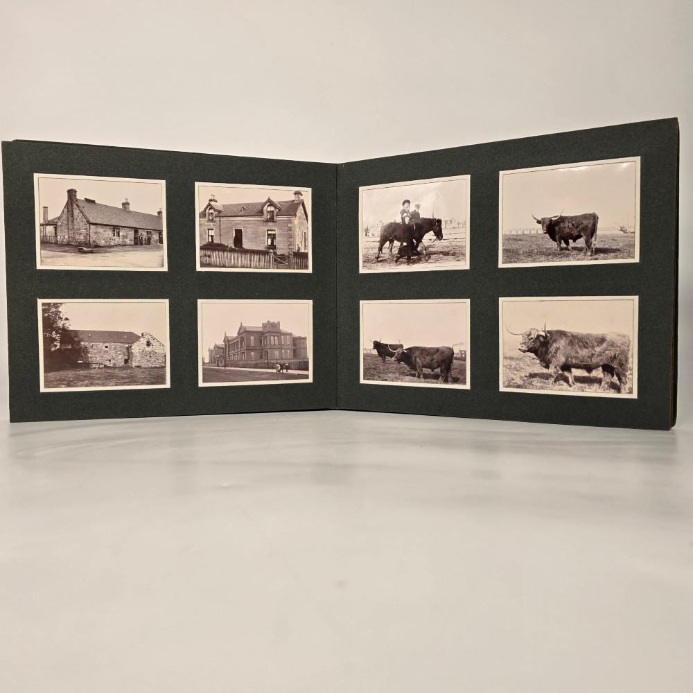 A set of three dark green cloth-bound Edwardian photograph albums stacked diagonally, featuring gold-embossed lettering and a geometric motif. View XIV