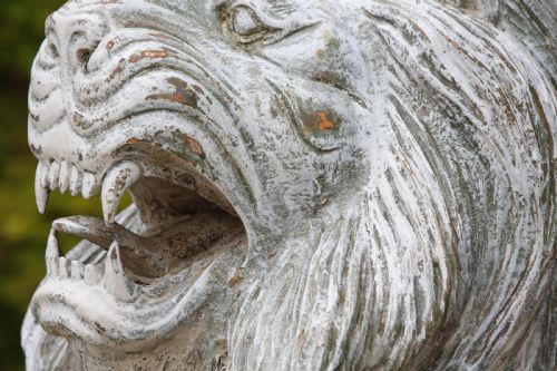 LION SCULPTURE CARVED WOOD LIFE SIZE 20TH CENTURY - ADDITIONAL PHOTO 13