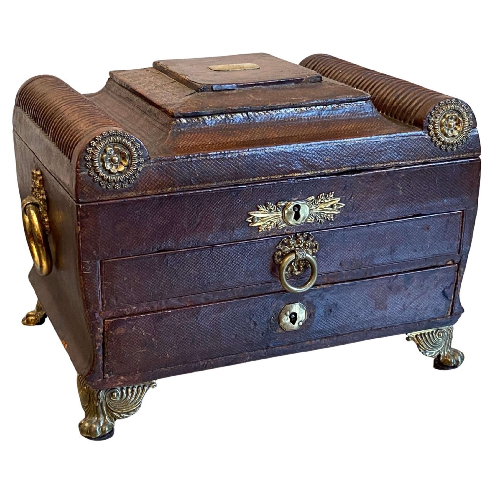 A Regency dark brown leather-bound box featuring brass paw feet, floral rosettes, side ring handles, and keyhole escutcheons.