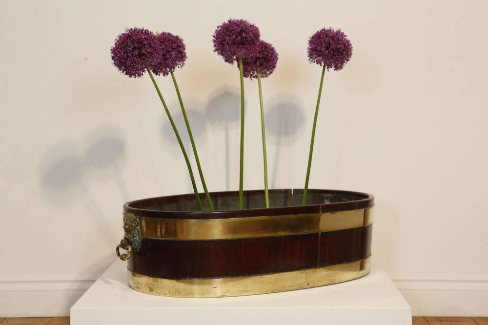 An oval mahogany wine cooler featuring twin brass binding, lion mask ring handles, tapered turned legs with brass castors, and a zinc liner. View XI
