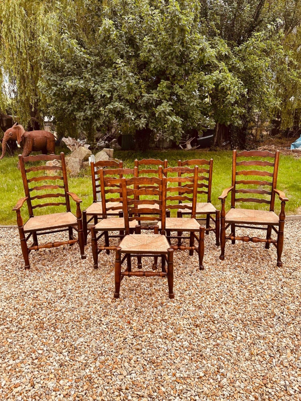 A set of eight antique ash dining chairs featuring wavy ladder backs, turned stretchers, and woven rush seats, comprising six side chairs and two carver armchairs. View II