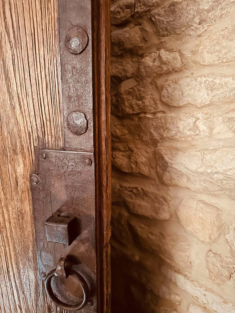 A pair of antique Chinese reclaimed locust wood doors with iron straps, decorative studs, and central ring handles. View XV