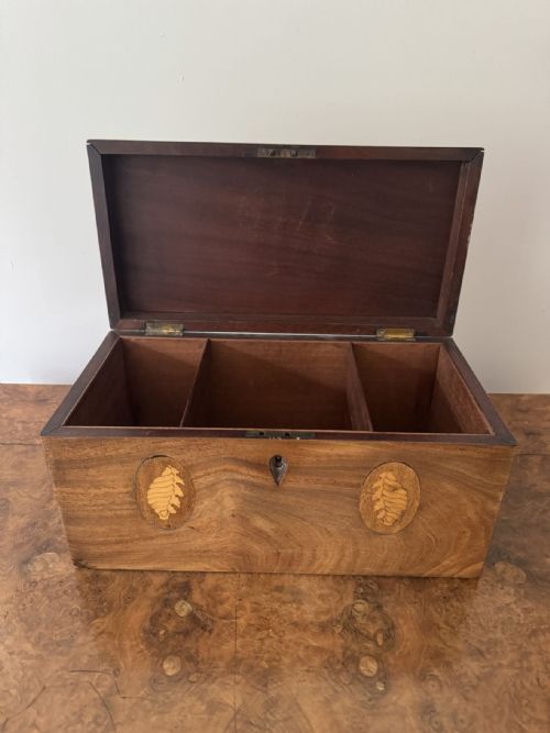 PRETTY ANTIQUE VICTORIAN MAHOGANY CONCH SHELL INLAID TEA CADDY - ADDITIONAL PHOTO 2