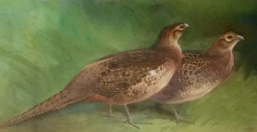 charles whymper watercolour - CATEGORY: ANTIQUE ART - DATED 1920