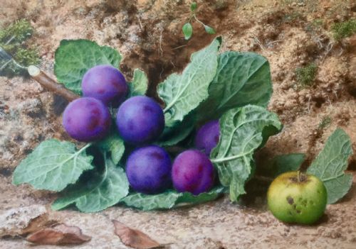 john sherrin watercolour still life of plums and an apple - CATEGORY: ANTIQUE ART - DATED 19TH CENTURY