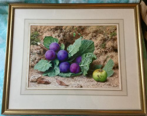 JOHN SHERRIN WATERCOLOUR STILL LIFE OF PLUMS AND AN APPLE - ADDITIONAL PHOTO 1
