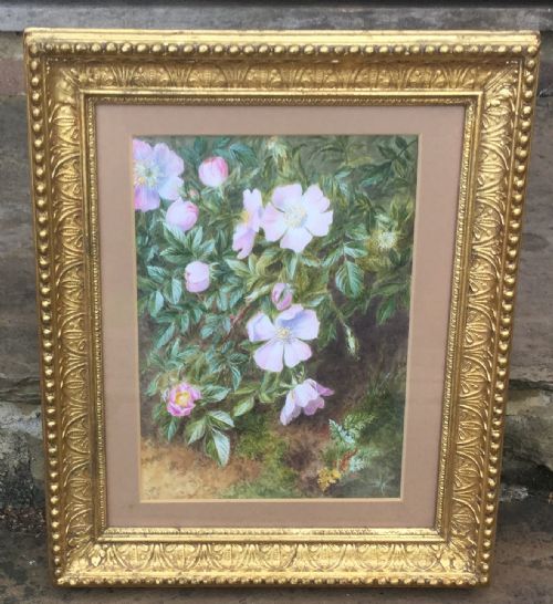 PAIR WATERCOLOURS BY MARIAN EMMA CHASE BRITISH WILD FLOWERS - ADDITIONAL PHOTO 2
