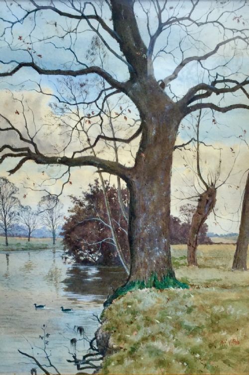 arthur anderson fraser watercolour oak at the island meadows near bromham hall - CATEGORY: ANTIQUE ART - DATED 1890