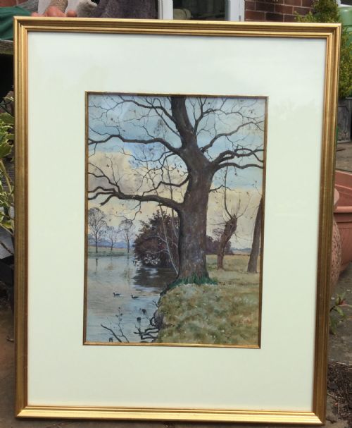 ARTHUR ANDERSON FRASER WATERCOLOUR OAK AT THE ISLAND MEADOWS NEAR BROMHAM HALL - ADDITIONAL PHOTO 1
