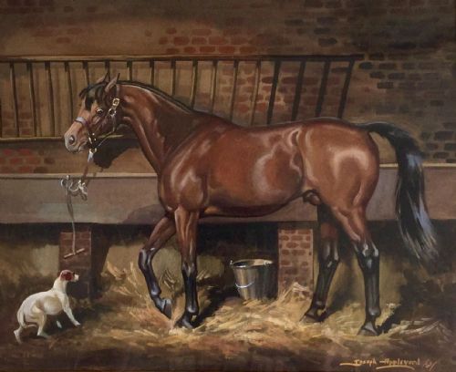 joseph appleyard watercolour thoroughbred horse in stable startled by a terrier - CATEGORY: ANTIQUE ART - DATED 1940