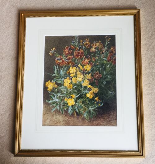 MARIAN EMMA CHASE WATERCOLOUR WALLFLOWERS - ADDITIONAL PHOTO 1