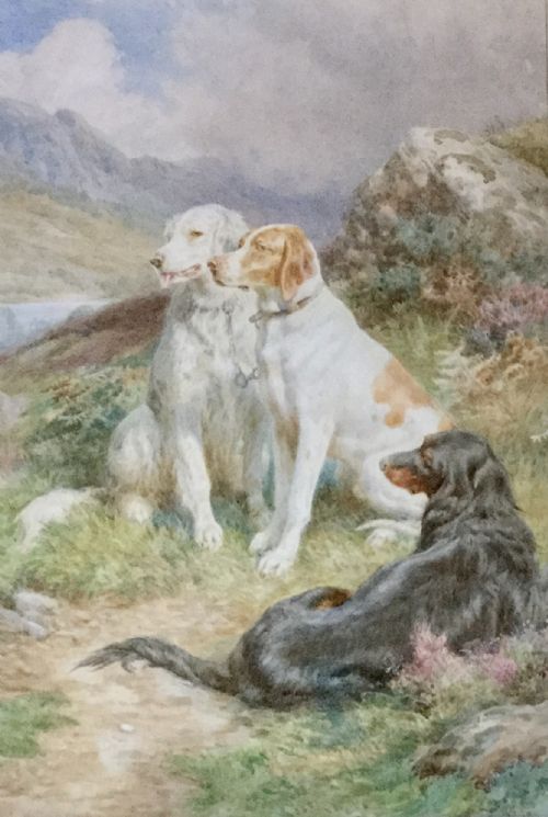 basil bradley watercolour english irish and scottish setters on the alert - CATEGORY: ANTIQUE ART - DATED 1890