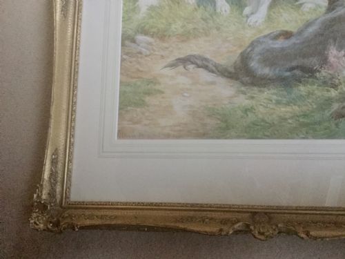 BASIL BRADLEY WATERCOLOUR ENGLISH IRISH AND SCOTTISH SETTERS ON THE ALERT - ADDITIONAL PHOTO 2