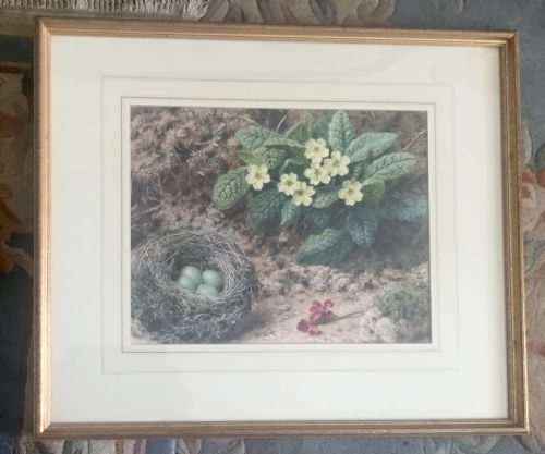 JOHN SHERRIN WATERCOLOUR PRIMROSES AND A BIRDS NEST ON A MOSSY BANK - ADDITIONAL PHOTO 1