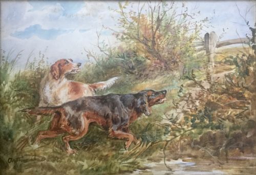 ARTHUR ALFRED DAVIS PAIR WATERCOLOURS WORKING SETTER DOGS - ADDITIONAL PHOTO 2