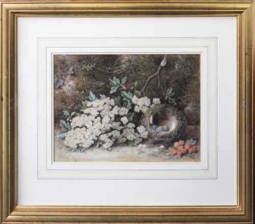 WILLIAM HOUGH WATERCOLOUR STILL LIFE OF HAWTHORN BLOSSOM - ADDITIONAL PHOTO 1