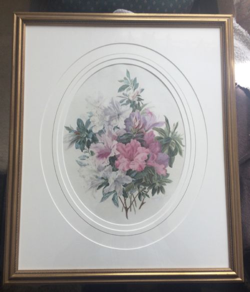 CHARLOTTE ISA JAMES WATERCOLOUR AZALEA FLOWERS - ADDITIONAL PHOTO 1