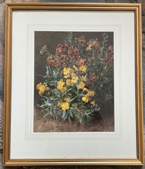 MARIAN CHASE WATERCOLOUR WALLFLOWERS - ADDITIONAL PHOTO 1