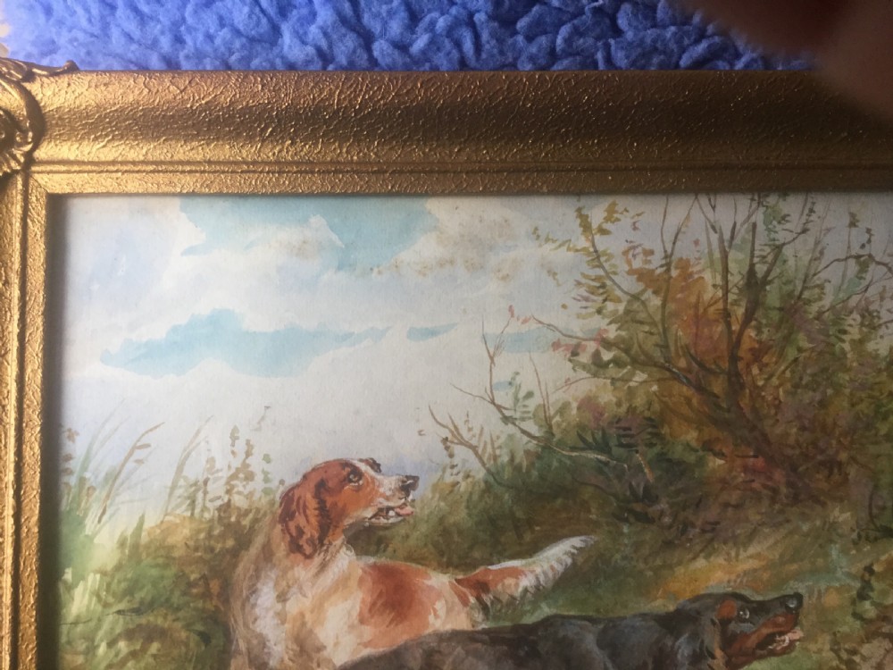 A pair of antique gilt-framed watercolour paintings depicting working setter dogs in open rural landscapes by Arthur Alfred Davis. View IV