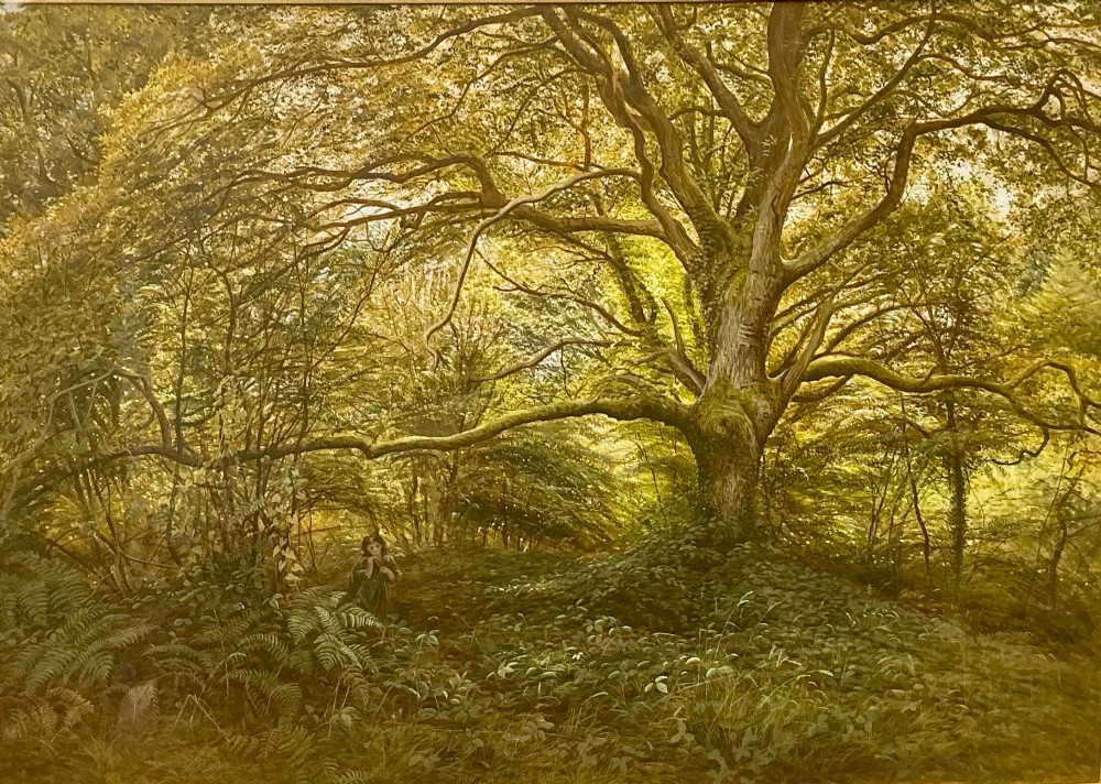 A detailed Victorian watercolour painting depicting a dense green woodland dominated by a large spreading oak tree above ferns and forest vegetation.