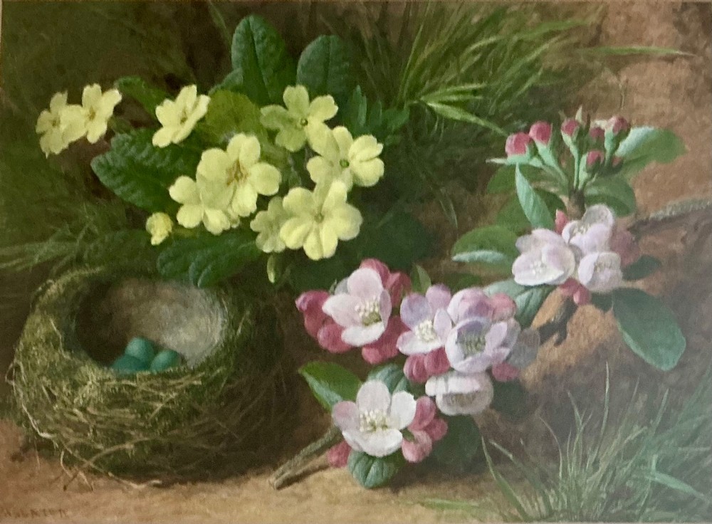A botanical watercolour painting depicting yellow primroses, blooming pink apple blossom branches, and a small bird nest containing teal eggs on a mossy ground.