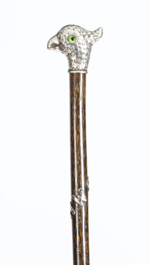 Antique Walking Stick Cane with Sterling Silver Parakeet Pommel Circa 1900
