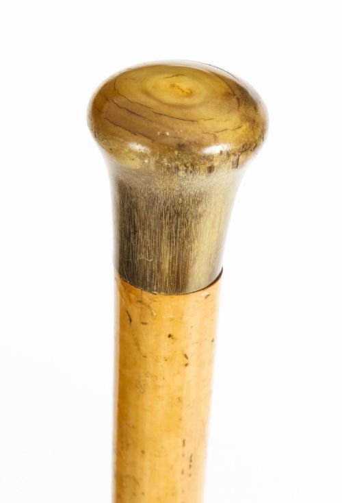fig 1. A close-up view of a Victorian walking stick featuring a polished, domed natural horn pommel attached to a light brown wooden shaft.