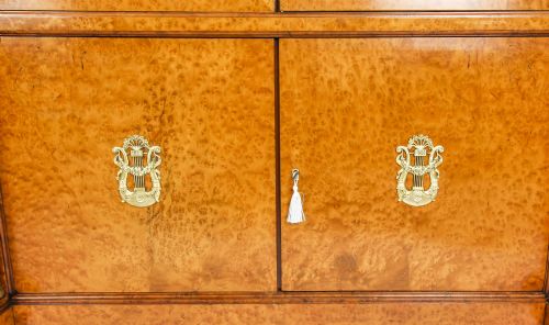 ANTIQUE FRENCH CHARLES X BURR MAPLE AND ORMOLU BOOKCASE CIRCA 1820 19TH C - ADDITIONAL PHOTO 3
