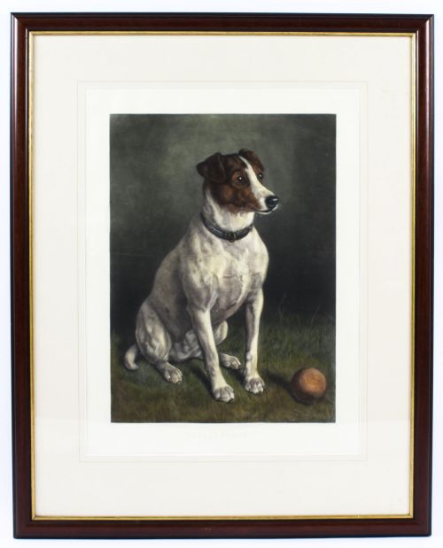 Antique Coloured Engraving Print "Please Throw It" Frank Patton C1920
