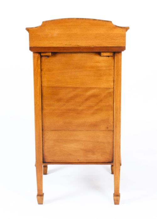 ANTIQUE SATINWOOD INLAID BEDSIDE CABINET C1880 19TH CENTURY - ADDITIONAL PHOTO 10