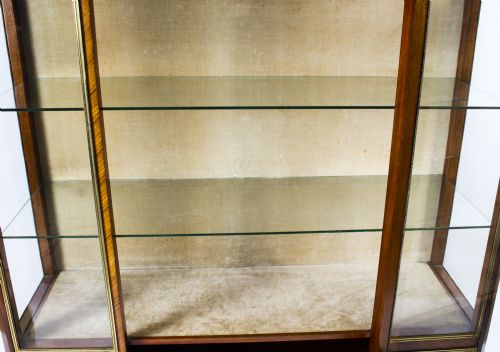 ANTIQUE FRENCH KINGWOOD PARQUETRY ORMOLU MOUNTED VITRINE CABINET 19TH C - ADDITIONAL PHOTO 13