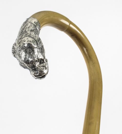 fig 1. Antique Walking Stick Cane with Sterling Silver Bulldog Handle 1904