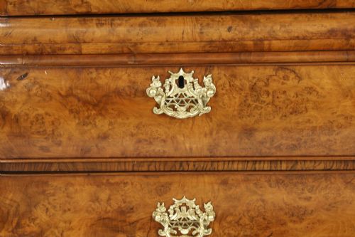 fig 4. Antique Dutch Burr Walnut Bombé Cabinet Armoire 18th Century