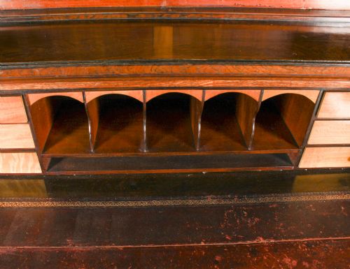 fig 5. Antique Victorian Gonçalo Alves & Marquetry Secretaire Bookcase 19th C