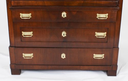 ANTIQUE BIEDERMEIER SECRETAIRE CHEST SECRETAIRE ABATTANT19TH C - ADDITIONAL PHOTO 5