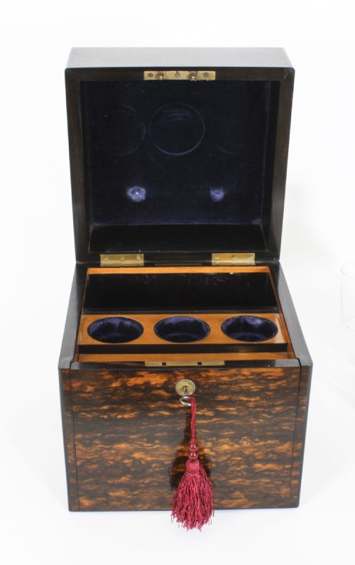 fig 8. Antique Coromandel Tantalus Humidor Drew & Son 19th C
