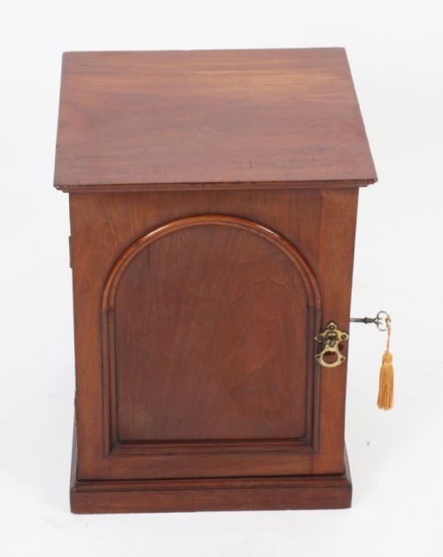 ANTIQUE VICTORIAN TABLE TOP JEWELLERY COLLECTORS CABINET 19TH C - ADDITIONAL PHOTO 1